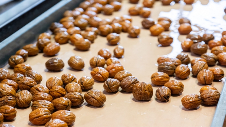 Kırklareli'nde kıraç alanda ceviz üretimine başlayan işletme elektriğini güneşten karşılıyor | KIRKLARELİ