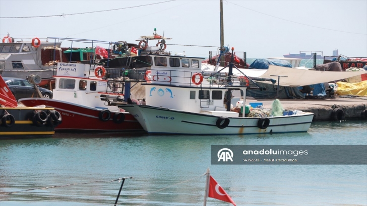 Tekirdağ'da küçük teknelerin tuttuğu balıklar tezgahları süslüyor  | KIRKLARELİ