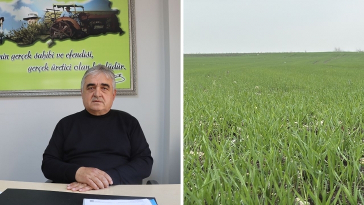 Trakya'da çiftçilerin buğday ekim mesaisi sürüyo | KIRKLARELİ