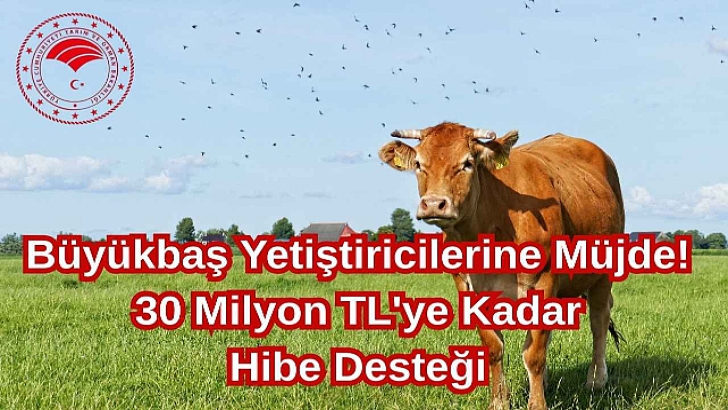 Büyükbaş Yetiştiricilerine Müjde! 30 Milyon TL'ye Kadar Hibe Desteği | KIRKLARELİ